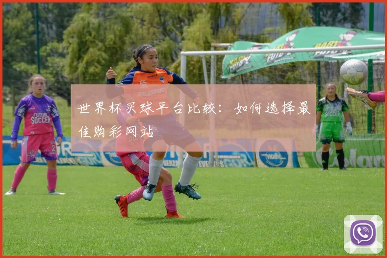 世界杯买球平台比较：如何选择最佳购彩网站