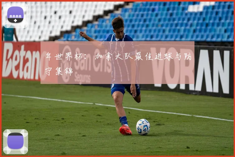 年世界杯：加拿大队最佳进球与防守集锦