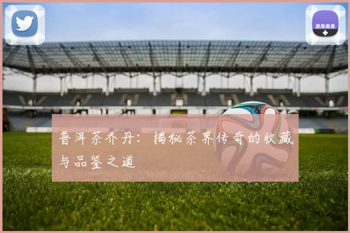 普洱茶乔丹：揭秘茶界传奇的收藏与品鉴之道