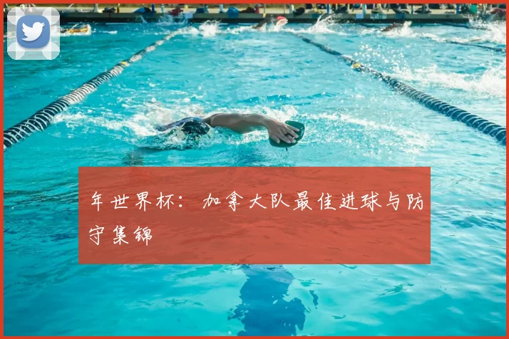 年世界杯：加拿大队最佳进球与防守集锦